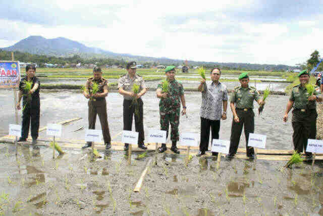 Pemkab dan Kodim 1302 Tanam Padi Bersama dan Monitoring Upsus
